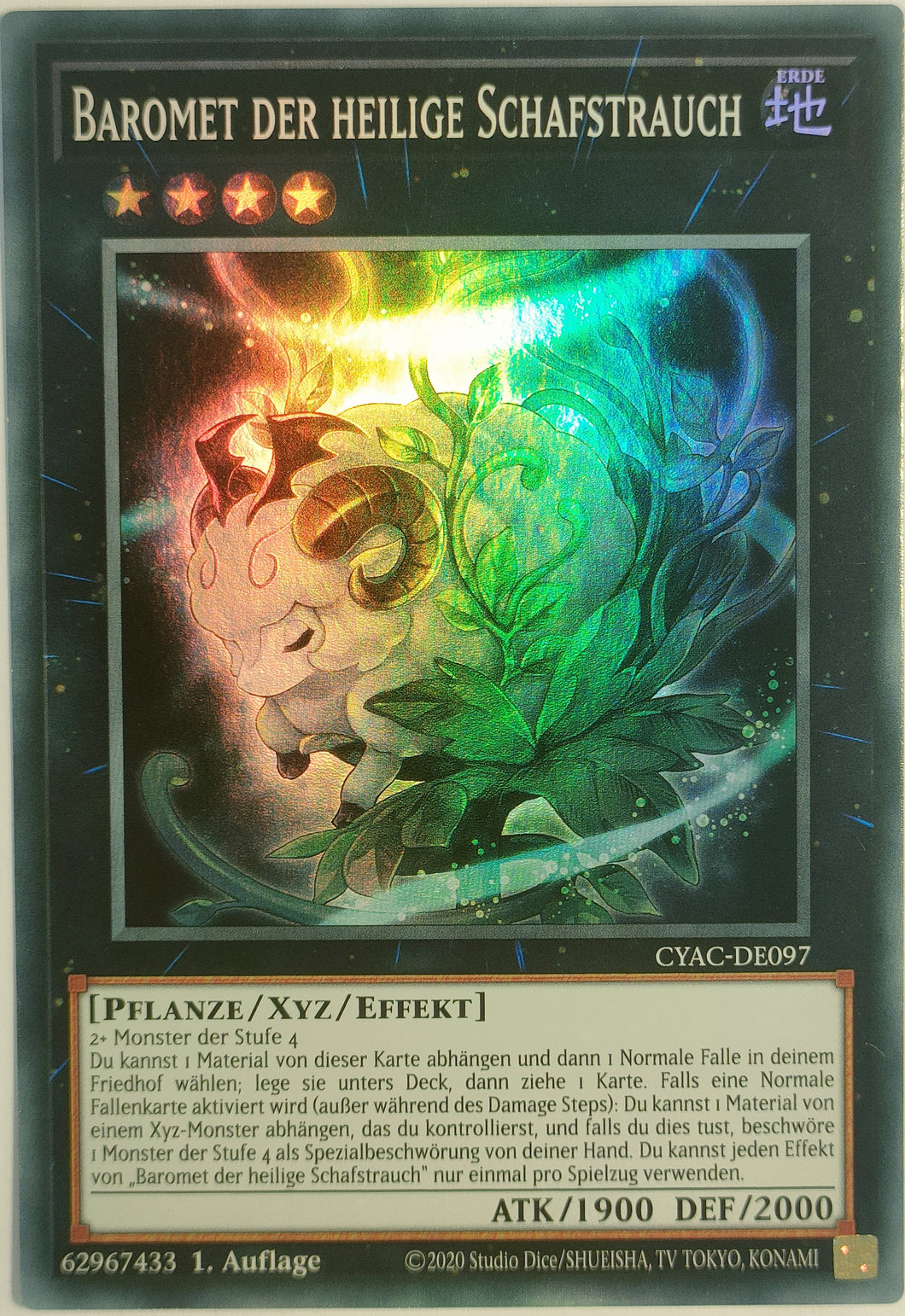 Baromet der heilige Schafstrauch - Super Rare