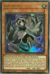 Lyrikliedervogel - Coelestinstelze - Ultra Rare