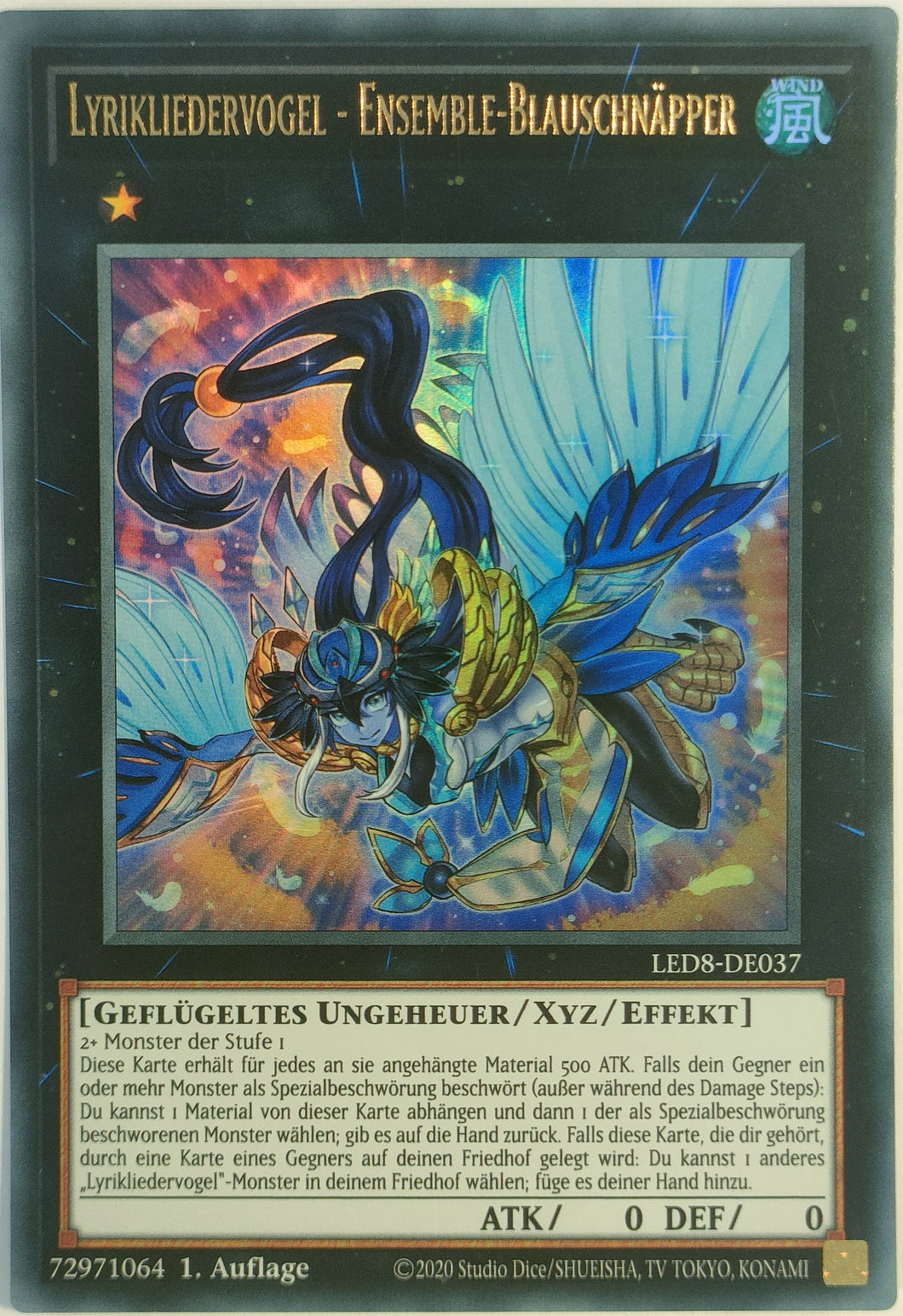 Lyrikliedervogel - Ensemble-Blauschnäpper - Ultra Rare