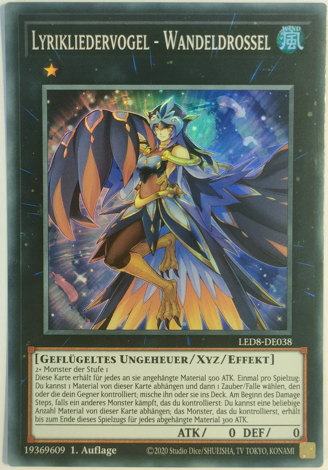 Lyrikliedervogel - Wandeldrossel - Super Rare