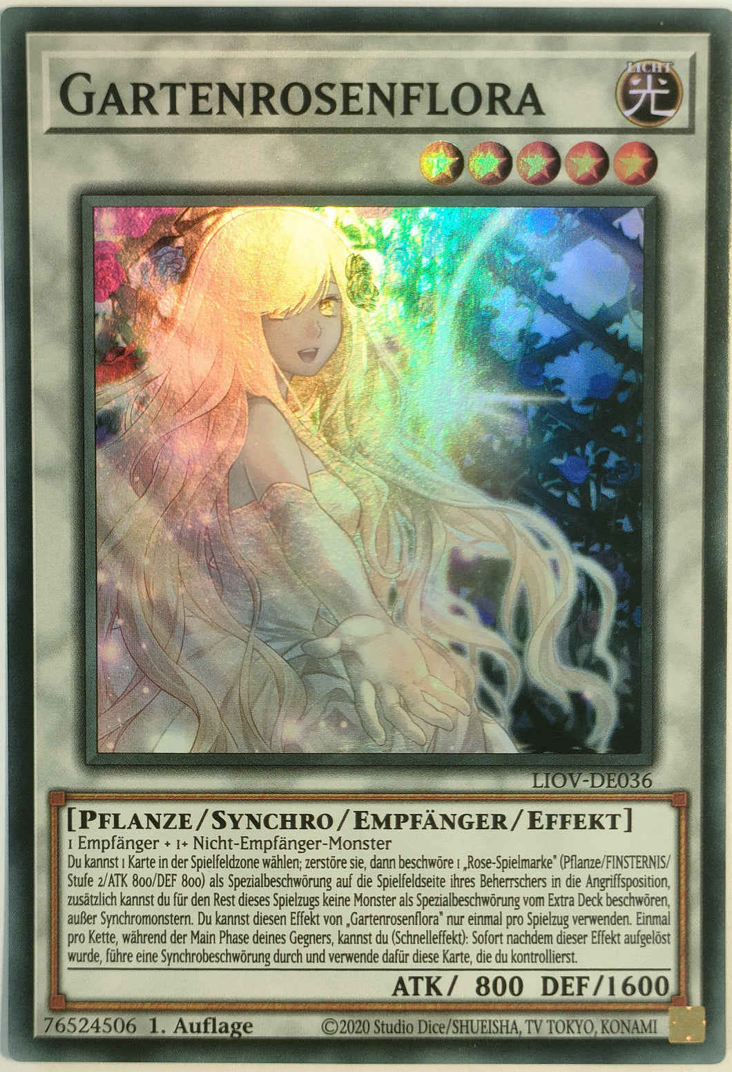 Gartenrosenflora - Super Rare