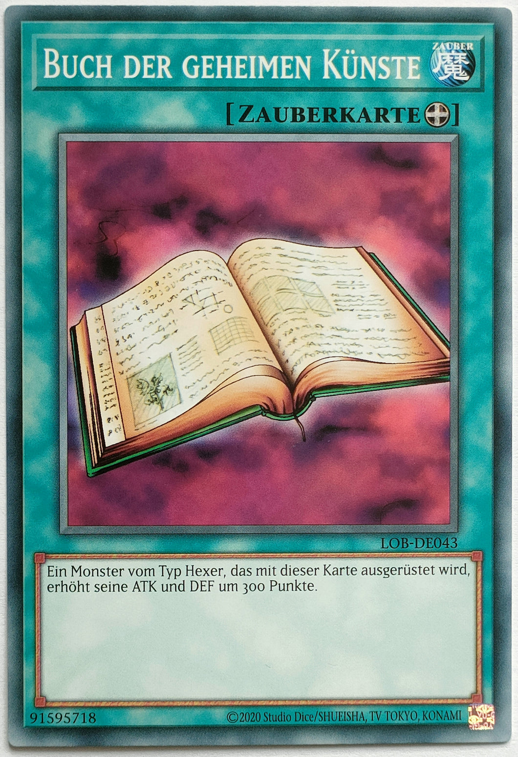 Buch der geheimen Künste - Common