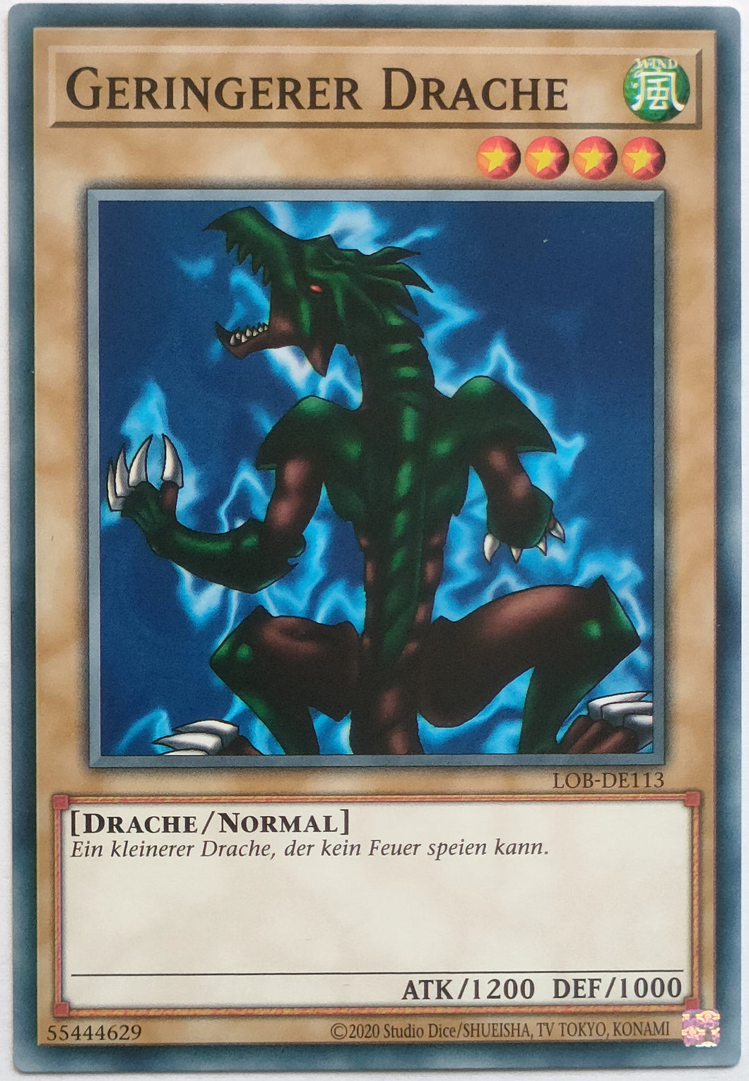 Geringerer Drache - Common