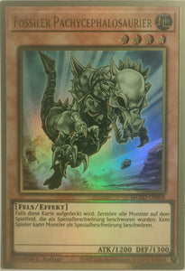 Fossiler Pachycerphalosaurier - Premium Gold Rare