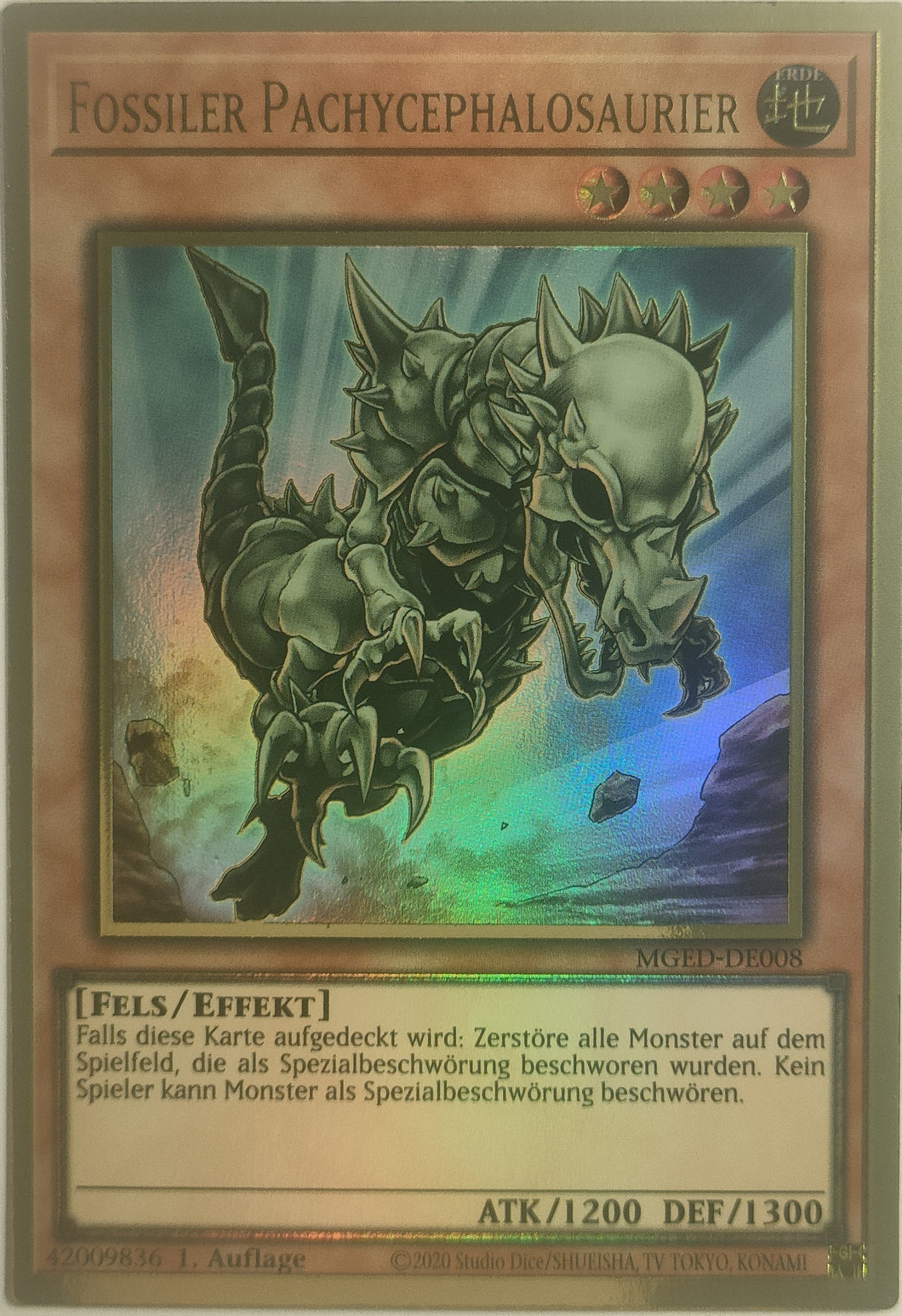 Fossiler Pachycerphalosaurier - Premium Gold Rare