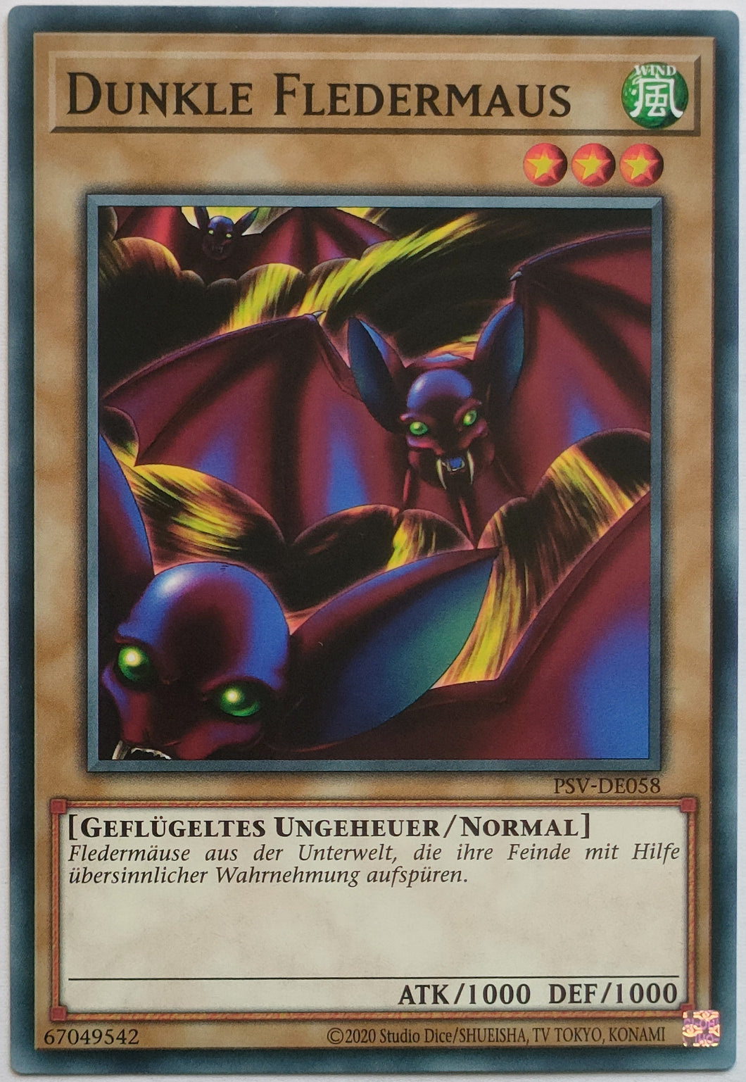 Dunkle Fledermaus - Common