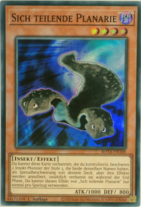 Sich teilende Planarie - Super Rare
