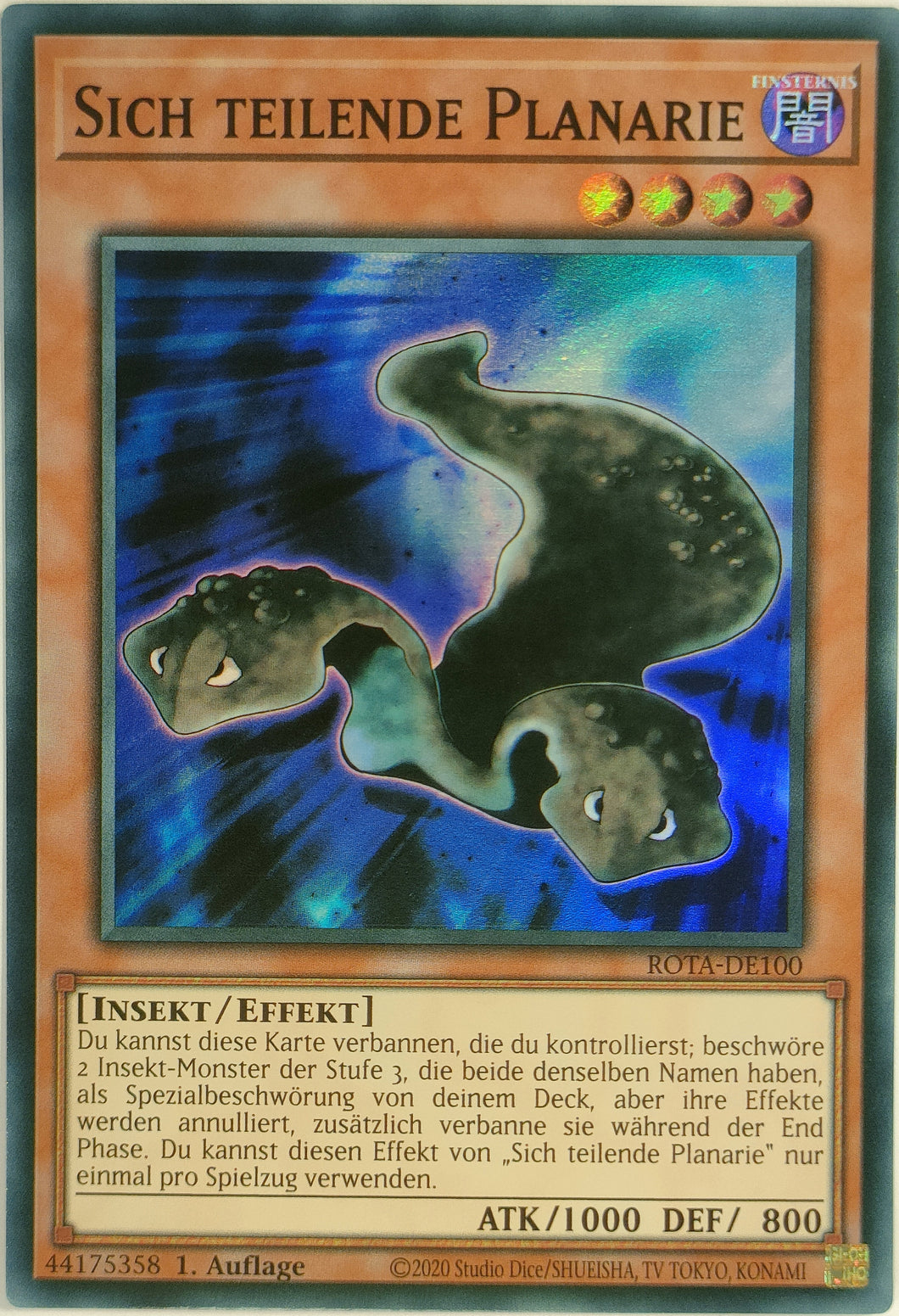 Sich teilende Planarie - Super Rare
