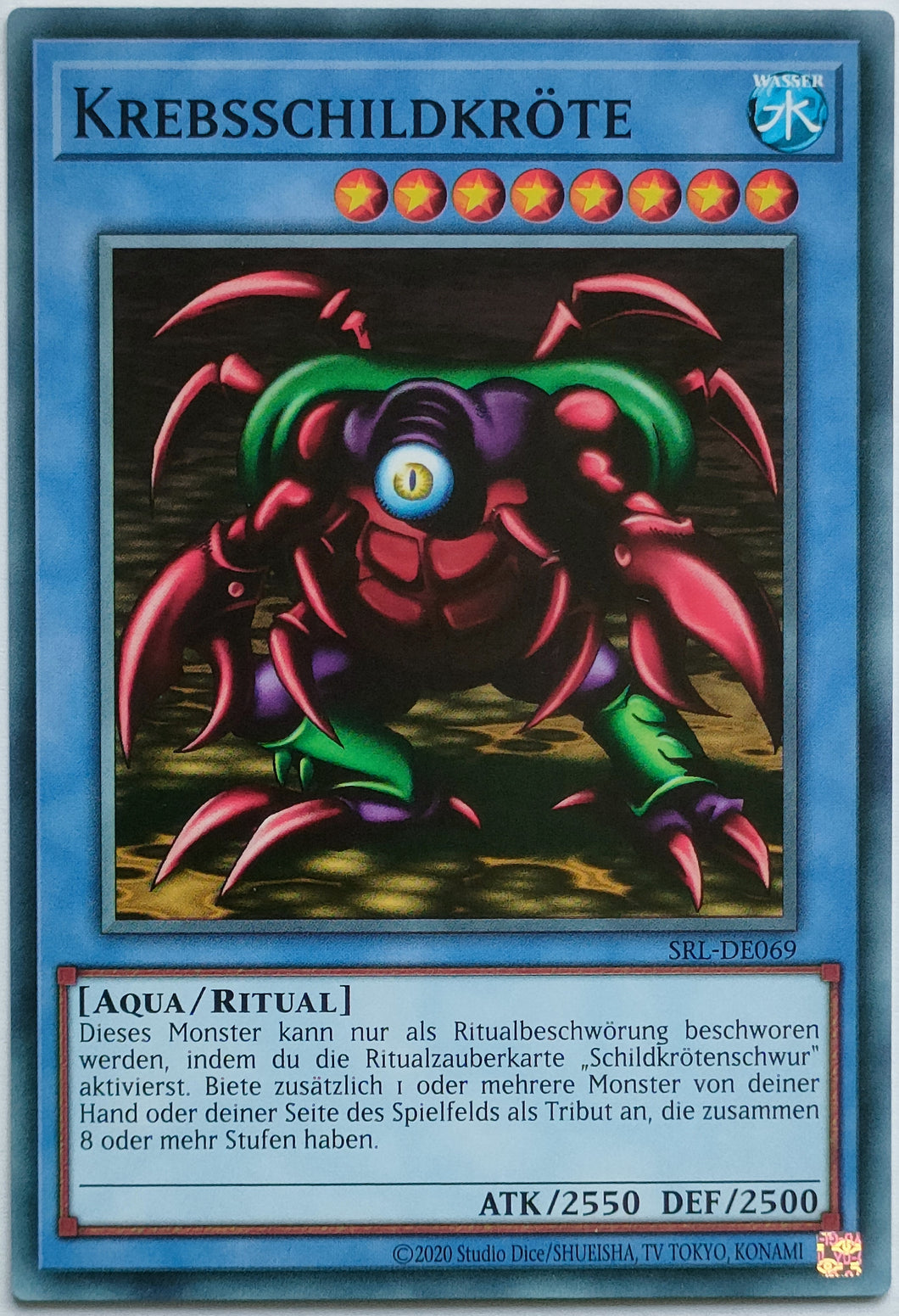 Krebsschildkröte - Common