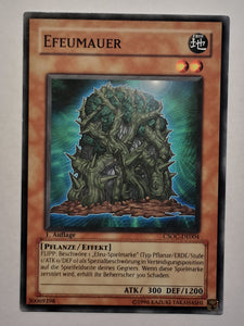 Efeumauer - Common