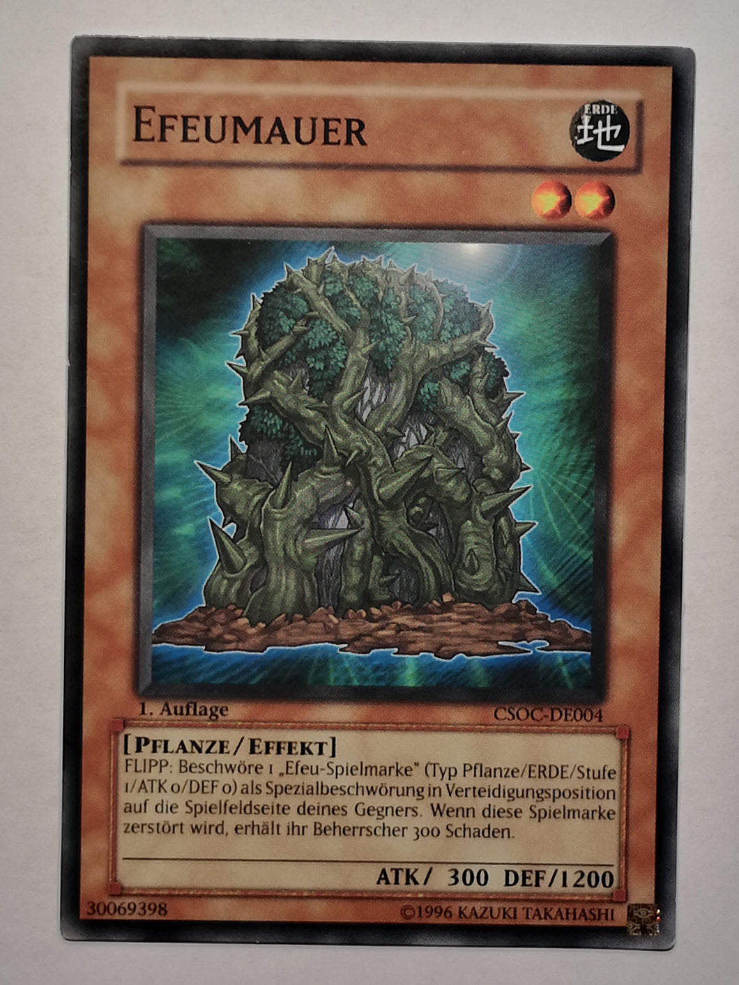 Efeumauer - Common