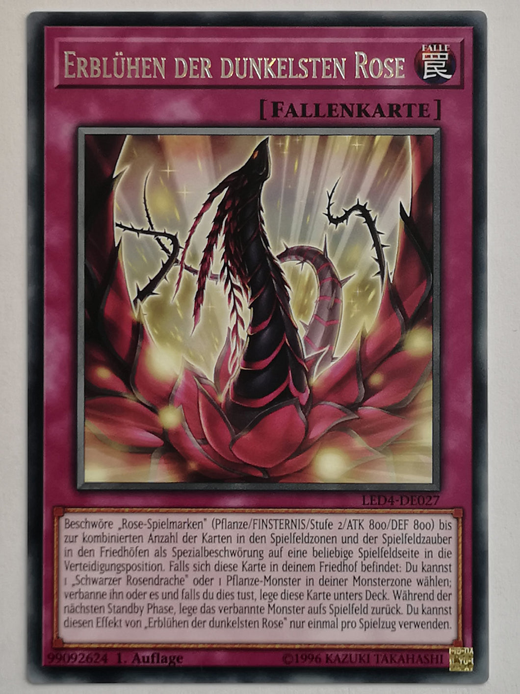 Erblühen der dunklen Rose - Rare