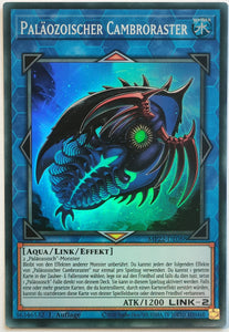 Paläozoischer Cambroraster - Super Rare
