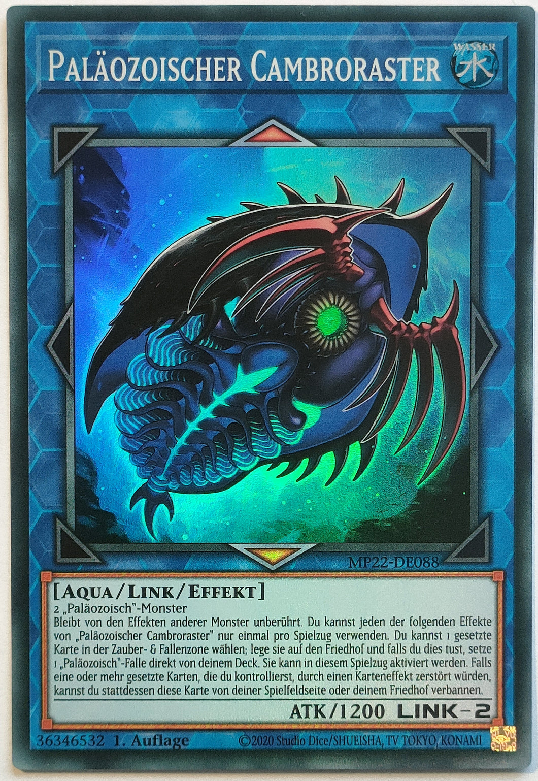 Paläozoischer Cambroraster - Super Rare