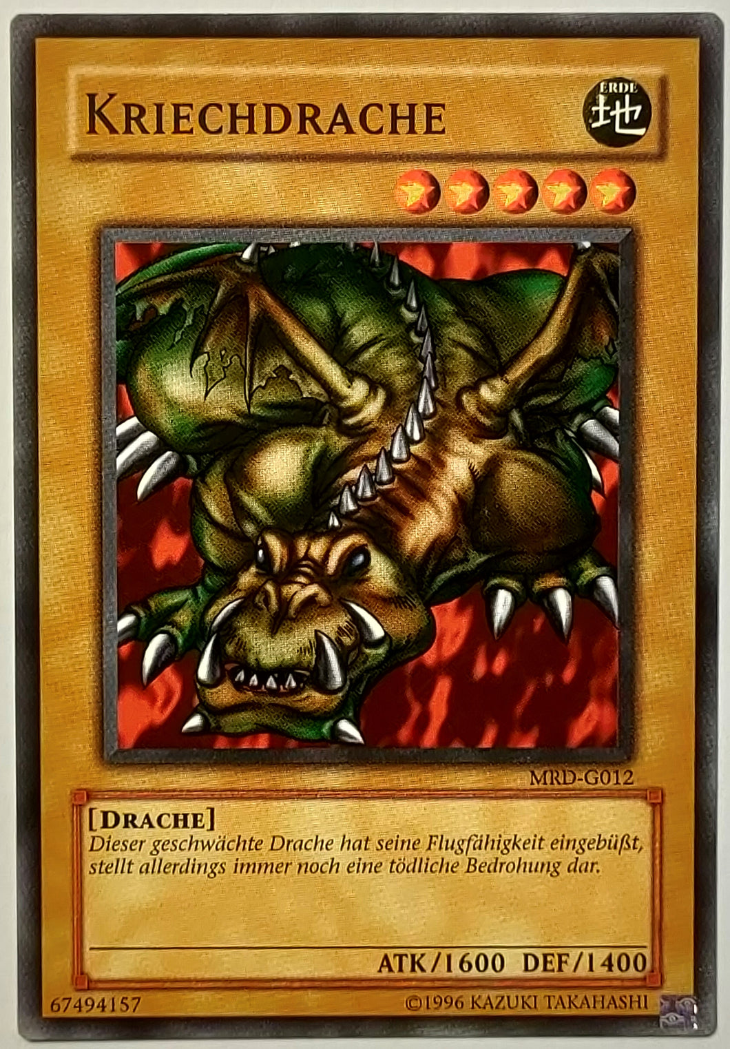 Kriechdrache - Common