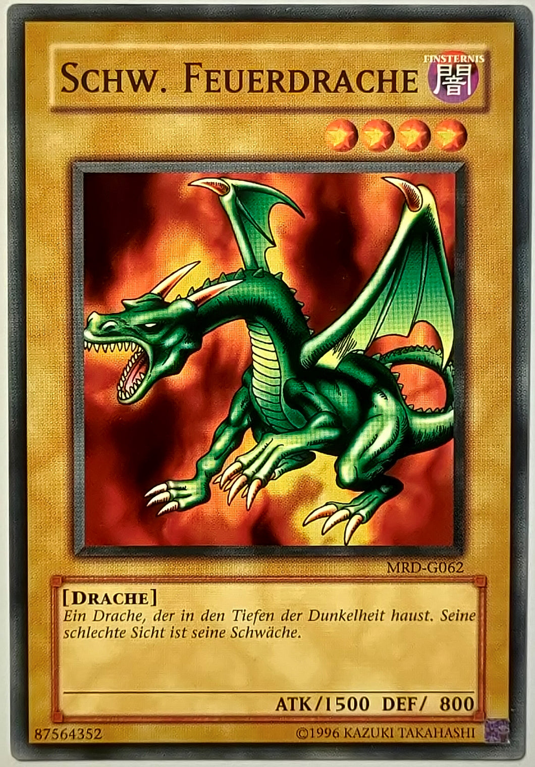 Schw. Feuerdrache - Common