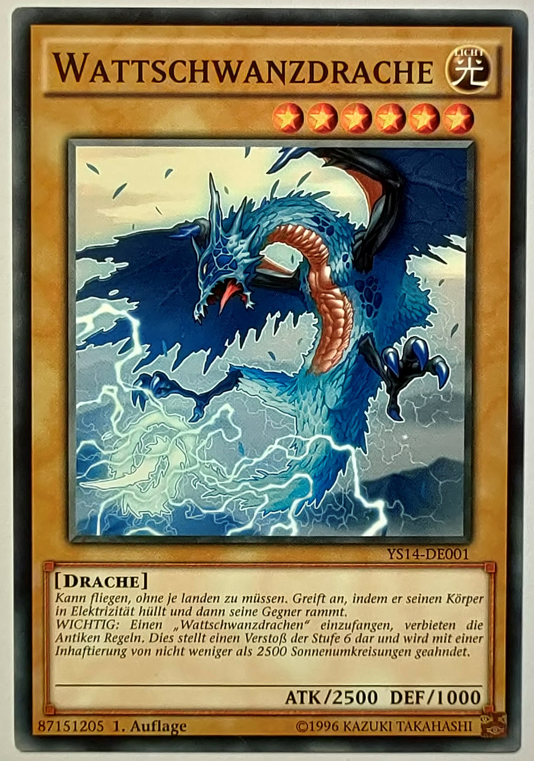 Wattschwanzdrache - Common